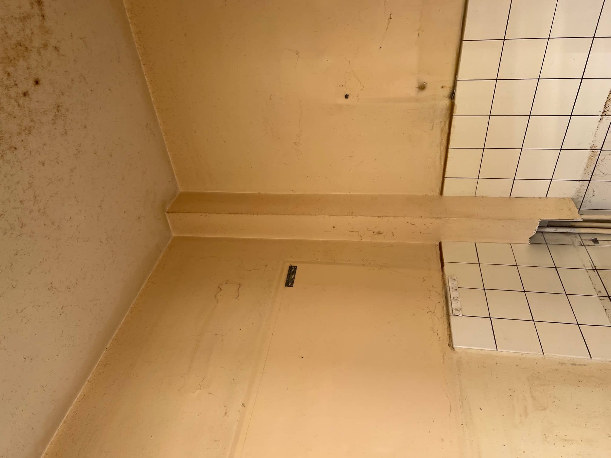 Alsac'Immo Plus Réalisations